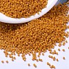 MIYUKI Delica Beads X-SEED-J020-DB2104-1