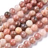 Natural Plum Blossom Jasper Beads Strands G-A163-02-4mm-4