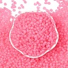 6/0 Luminous Glass Seed Beads X1-SEED-NH0001-01O-3