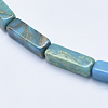 Natural Aqua Terra Jasper Beads Strands G-E444-15A-3