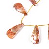 AB Color Plated Dyed Natural Freshwater Shell Beads Strands SHEL-T020-55E-3