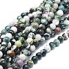 Natural Tree Agate Beads Strands G-F674-11-6mm-1