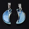 Spray Painted Glass Pendants GLAA-N035-021-A02-3