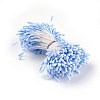 Eco-Friendly Matte Gypsum Flower Core DIY-WH0131-A14-1