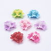 Mixed Flatback Resin Flower Cabochons X-CRES-S240-M-1
