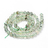 Natural Prehnite Beads Strands G-Q961-03-6mm-2