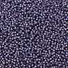 TOHO Round Seed Beads SEED-XTR11-2124-2