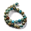Dyed Natural Regalite/Imperial Jasper/Sea Sediment Jasper Beads Strands X-G-B124-C02-06-5