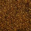 TOHO 6/0 Round Beads SEED-TR06-2155-3