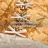 Preciosa® MAXIMA Crystal Round Stones Y-PRC-RBSS6-90300-5