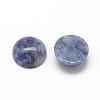 Natural Blue Spot Jasper Cabochons G-R416-20mm-45-2