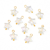 10Pcs Glass Pendants PALLOY-YW00065-04-1