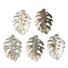 Natural Black Lip Shell Pendants SHEL-R100-07A-1