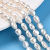 Natural Cultured Freshwater Pearl Beads Strands PEAR-N014-06E-2