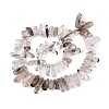 Natural Green Lodolite Quartz/Garden Quartz/Green Phantom Quartz Beads Strands G-N362-16A-01-3