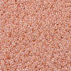 MIYUKI Round Rocailles Beads SEED-JP0008-RR0543-3
