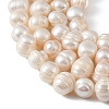 Natural Cultured Freshwater Pearl Beads Strands PEAR-L034-18C-3