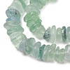 Natural Green Fluorite Beads Strands G-Z155-B02-01-4