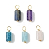 5Pcs Natural Mixed Gemstone Pendants PALLOY-JF03153-1