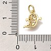 Rack Plating Brass Micro Pave Cubic Zirconia Charms KK-I720-14G-3