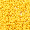 Baking Paint Glass Seed Beads SEED-H002-I-B502-3