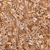Transparent Inside Colours Glass Seed Beads SEED-T007-13A-2