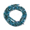 Natural Apatite Beads Strands G-F770-D09-02B-3