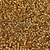 MIYUKI Delica Beads SEED-X0054-DB2525-3