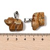 Natural Picture Jasper Pendants G-B127-02P-04-4
