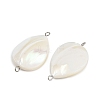 Natural Shell Teardrop Connector Charms X1-STAS-D378-28P-3