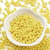 Baking Paint Glass Seed Beads X1-SEED-A032-02E-2