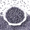 Silver Lined Glass Seed Beads SEED-T007-18A-08-2