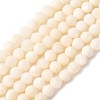 Shell Beads Strands SSHEL-E571-38-4mm-01-2