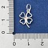 925 Sterling Silver Charms STER-M119-12S-3