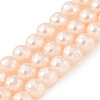Electroplated Shell Pearl Beads Strands BSHE-C007-A02-01-1