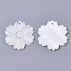 Natural Freshwater Shell Pendants SHEL-N026-31-2