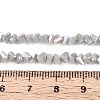 Electroplate Opaque Glass Beads Strands GLAA-N022-4mm-21-2