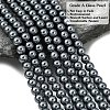 Eco-Friendly Dyed Glass Pearl Round Beads Strands HY-A002-6mm-RB077-3