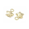 Alloy Charms AL-CBA5609-10G-A-2