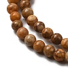 Natural Maifanite/Maifan Stone Beads Strands G-P451-01C-B-2