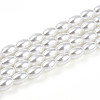 Baking Paint Pearlized Glass Pearl Bead Strands HY-T002-01B-01-3
