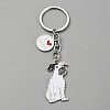 Alloy Keychain KEYC-SZC0006-01E-1