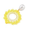 Glass & Brass Pendants PALLOY-MZ01381-5