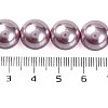 Baking Painted Pearlized Glass Pearl Round Bead Strands PEAR-H019-02E-03-5