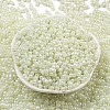 Glass Seed Beads SEED-K009-02B-25-2