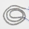 Natural Labradorite Round Bead Strands LS-G-M263-A-03-2