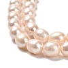 Natural Cultured Freshwater Pearl Beads Strands PEAR-E016-122-3