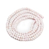 Natural Sea Shell Beads Strands G-H042-B33-01-3