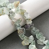 Natural Fluorite Beads Strands G-S386-B01-1
