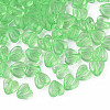 Transparent Acrylic Beads MACR-S373-95-B02-1